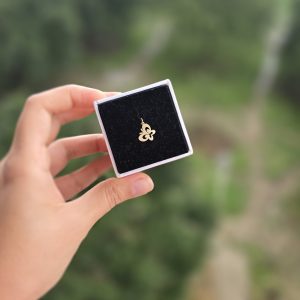 آویز پروانه کد 85