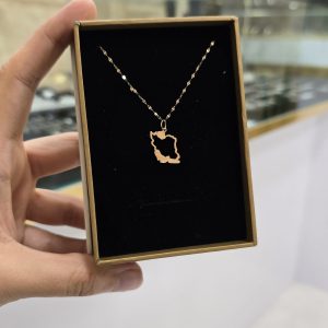 پلاک و زنجیر